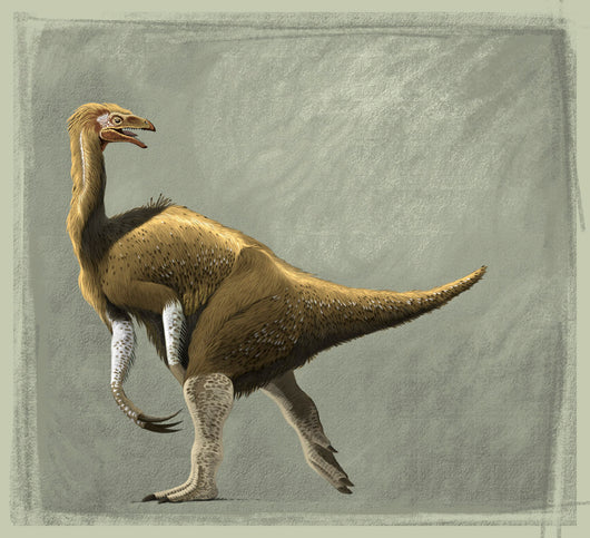 Nothronychus Mckinleyi Dinosaur Cretaceous Wall Decal