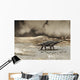 Saichania Chulsanensis Dinosaur Is Wall Decal