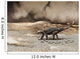 Saichania Chulsanensis Dinosaur Is Wall Decal