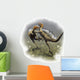Two Fighting Males Tianyulong Wall Decal