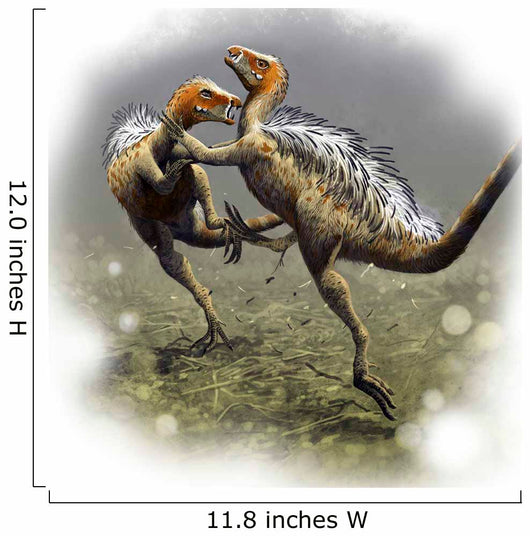 Two Fighting Males Tianyulong Wall Decal