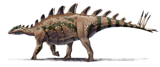 Tuojiangosaurus Multispinus Dinosaur from Wall Decal