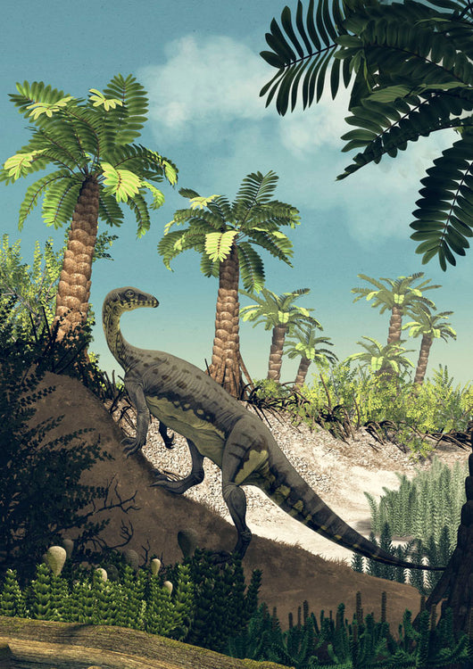 Anchisaurus Polyzelus Climbs Slope Wall Decal
