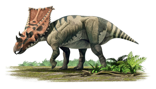 Ceratopsian Late Cretaceous Period Wall Decal