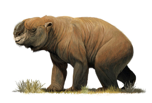 Diprotodon Optatum Largest Known Wall Decal