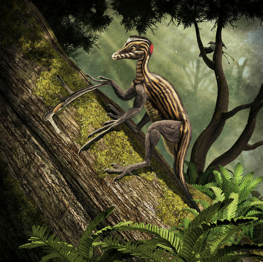 Epidendrosaurus Ninchengensis Capturing Wood Wall Decal