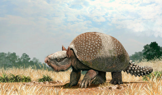 Glyptotherium Arizonae North American Wall Decal