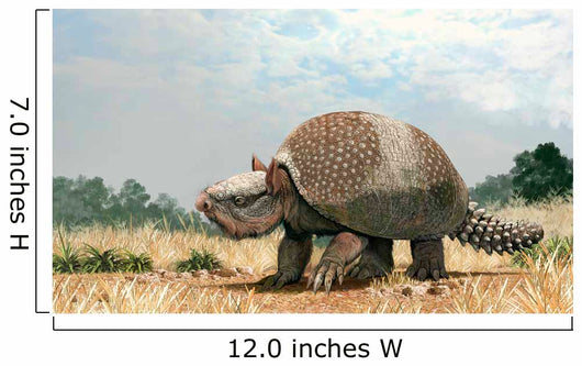 Glyptotherium Arizonae North American Wall Decal