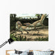 Two Sciurumimus Albersdoerferi Fighting Wall Decal