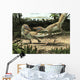 Two Sciurumimus Albersdoerferi Fighting Wall Decal