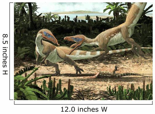 Two Sciurumimus Albersdoerferi Fighting Wall Decal