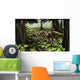 Rhabdodontid Iguanodont Zalmoxes Robustus Wall Decal