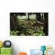 Rhabdodontid Iguanodont Zalmoxes Robustus Wall Decal