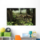 Rhabdodontid Iguanodont Zalmoxes Robustus Wall Decal