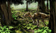 Rhabdodontid Iguanodont Zalmoxes Robustus Wall Decal