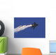 F-15e Strike Eagle Releases Wall Decal