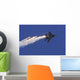 F-15e Strike Eagle Releases Wall Decal