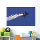 F-15e Strike Eagle Releases Wall Decal