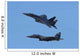Pair F-15c Eagle Aircraft Wall Decal