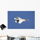 F-22 Raptor Flight over Wall Decal
