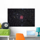 Cocoon Nebula Wall Decal