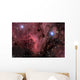 Pelican Nebula Wall Decal Design 1