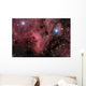Pelican Nebula Wall Decal Design 1