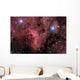 Pelican Nebula Wall Decal Design 1