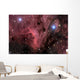 Pelican Nebula Wall Decal Design 1