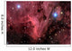 Pelican Nebula Wall Decal Design 1