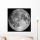 Full Moon Wall Decal