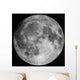 Full Moon Wall Decal
