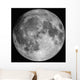 Full Moon Wall Decal