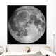 Full Moon Wall Decal