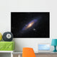Andromeda Galaxy Wall Decal