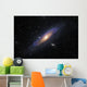 Andromeda Galaxy Wall Decal