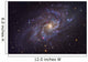 Triangulum Galaxy Wall Decal