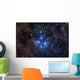 Pleiades Wall Decal