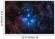 Pleiades Wall Decal