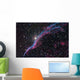 Western Veil Nebula Wall Decal