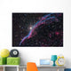 Western Veil Nebula Wall Decal