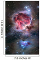 Orion Nebula Wall Decal