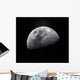 Waxing Gibbous Moon Wall Decal