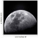 Waxing Gibbous Moon Wall Decal