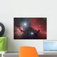 Horsehead Nebula Wall Decal