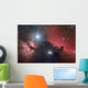 Horsehead Nebula Wall Decal