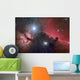 Horsehead Nebula Wall Decal