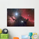 Horsehead Nebula Wall Decal