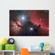 Horsehead Nebula Wall Decal