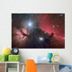 Horsehead Nebula Wall Decal